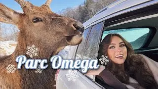 EMBRACING THE COLD❄️ Parc Omega Vlog in Quebec, Canada🦌