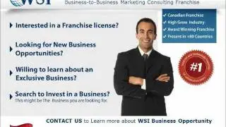 WSI Business Opportunity in Egypt