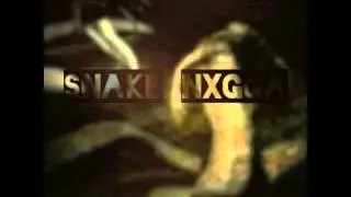 RICH - Snake Nigga