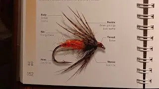 Hoot's Live Tie Busting Out Fly Tying Bible's Soft Hackle