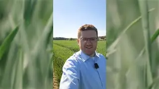 Feld-Report Getreide S&uuml;d-Ost | Optimaler Schutz zur T2-Behandlung mit der maximalen Breitenwirkung!
