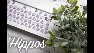 They made HIPPO SWITCHES?! - Gateron Hippo Switch Sound Test
