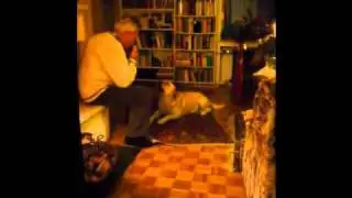 Hundesong