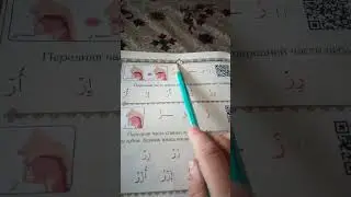 Муаллим сани для новичков