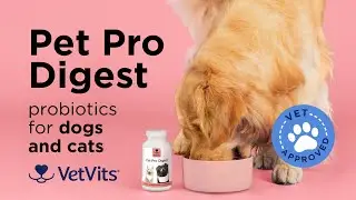 Pet Pro Digest for Cats and Dogs