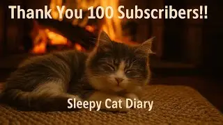 From Stray to Safe: Thank You for Our First 100 Subscribers ❤️