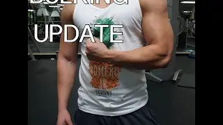 Bulking Update