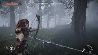 Horizon: Zero Dawn - Performance and graphics settings (PC/4K)