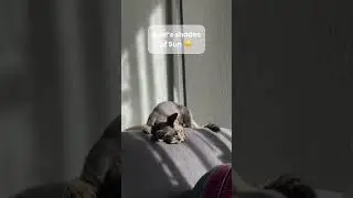 When the sun hits Axel, his wild instincts kick in, turning him into the ultimate feline adventurer!