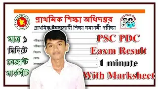 PSC Exam Result Ebtedayee result Primary School Certificate result