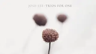Josh Lee | Lupo: Fantasia (Originally for Three Treble Viols)