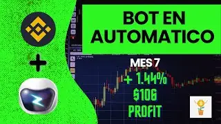 Eazy Bot Resultados mes 7 Noviembre