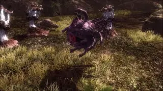 HNM: Gazer Champion - Sword Art Online: Hollow Realization