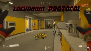 Checking out a little Lockdown Protocol