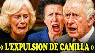 Charles and Anne chase Camilla away because she claims the Queen's inheritance for her family!