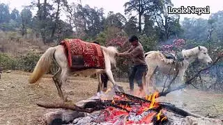Village simple life story||Organic life||local rural dairy||look nepal