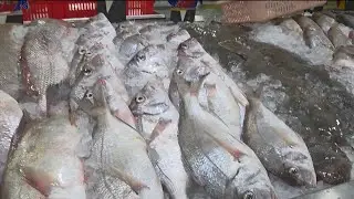 &ldquo;What Did I Just Find at the Asian Market?! 😱 | Crazy Food Discoveries&rdquo;