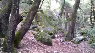 VID 20101108 133227