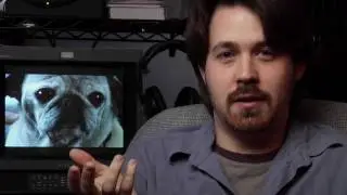 Pet Conversations - Belle