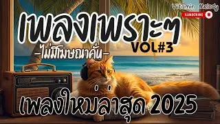 💊🎶VOL#3 | รวมเพลงไทยเพราะ เพลงฟังสบาย เพลงดังในตต เพลงคาเฟ่ เพลงใหม่2025 ฟังชิลล์ๆ | Vitamin Melody