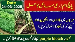 Treatment of Purple Blotch in Garlic ! | Leaf Spot in Papaya | Top 5 Farmer Queries