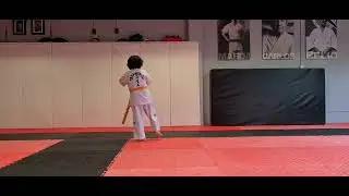 ITF Taekwon-Do Pattern 1(Chon-Ji)19 Movements