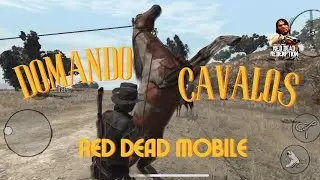 Domando cavalos - Red Dead Mobile 