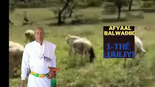 @abwaanbalwadiid1047 GGabaymay kawda luulyo Kolkii hurawni