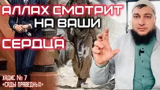 Хадис 7: «Аллах не смотрит на вашу внешность, но смотрит на ваши сердца» («Сады праведных»)