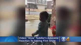 'Wow': Watch Toddler's Adorable Reaction To First Snow