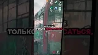 опущенный спит на полу