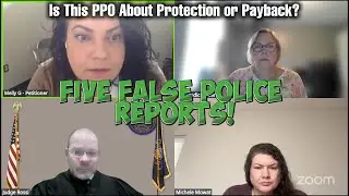 Five False Police Reports! &ndash; Is This PPO About Protection or Payback?