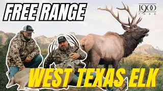 Tracking a Massive Free Range Elk Bull in Texas