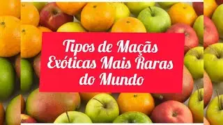 +de 20 Tipos de Maçãs Exóticas e Colori Mais Raras e Incríveis do Mundo\(*;*)/#mariatls #frutas