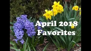 April 2018 Favorites