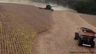 Colheita Quatro Irm&atilde;os 2024 # O AGRO &eacute; tudo Bia Socek # O Agro &eacute; top