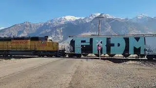 Cache Valley Local Monday January 12, 2026, UP-2038