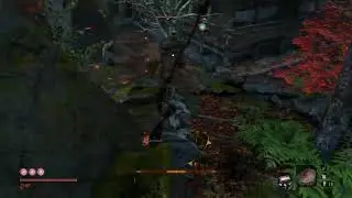 Sekiro mod :Female injury voice