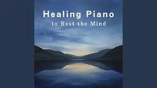 Solace in Silent Reflection