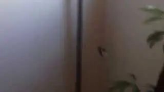 How I Met Your Moth