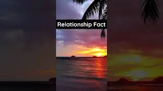 Relationship Revelations: Unlocking the Secrets of Love