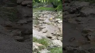 Enjoy your day #naturelakeland #bonnetspringspark #water #watervlog #watervideos #wakeupwithnature