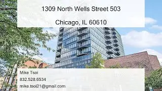 1309 North Wells Street 503