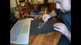 Frog Timelapse