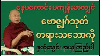နေမကောင်း မကျန်းမာလျှင် ဗောဇ္စျဂ်သုတ် တရားသဘောကို နှလုံးသွင်း နာယူကြည့်ပါ 🙏🙏🙏 | ပါချုပ်ဆရာတော်