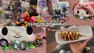 . ݁𖦹₊ ⊹Vlog de domingo! Indo em um evento de kpop!