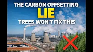 The Carbon Offsetting Lie: Why Planting Trees Won&rsquo;t Save Us