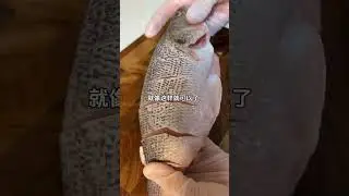 Clean Fish Like a Pro First Catch, First Clean! 🦈🐟 Part 2 #FishCleaning  #FishingLife#shorts