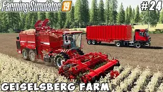 Harvesting potatoes with new harvester and truck | Geiselsberg Farm | Farming simulator 19 | ep #24