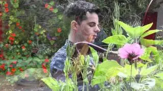 Fiachra - Planxty Mary Kennedy